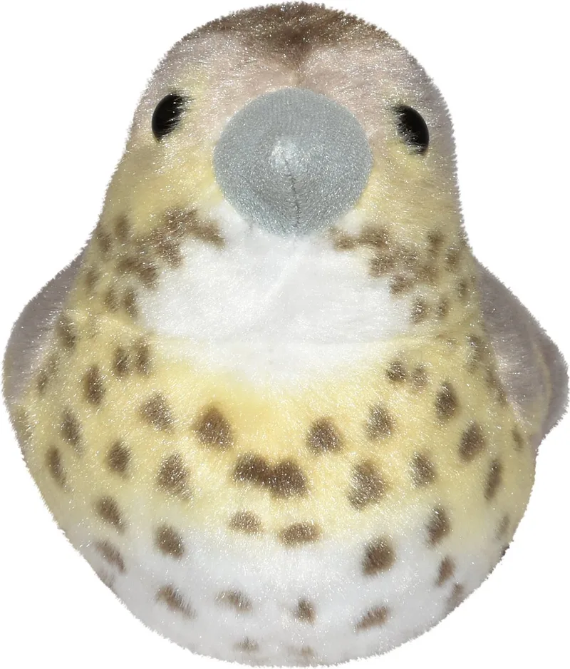 Knuffel - Zanglijster - Knuffel met Geluid - 15 cm van Wild Republic in Meerkleurig – productfoto