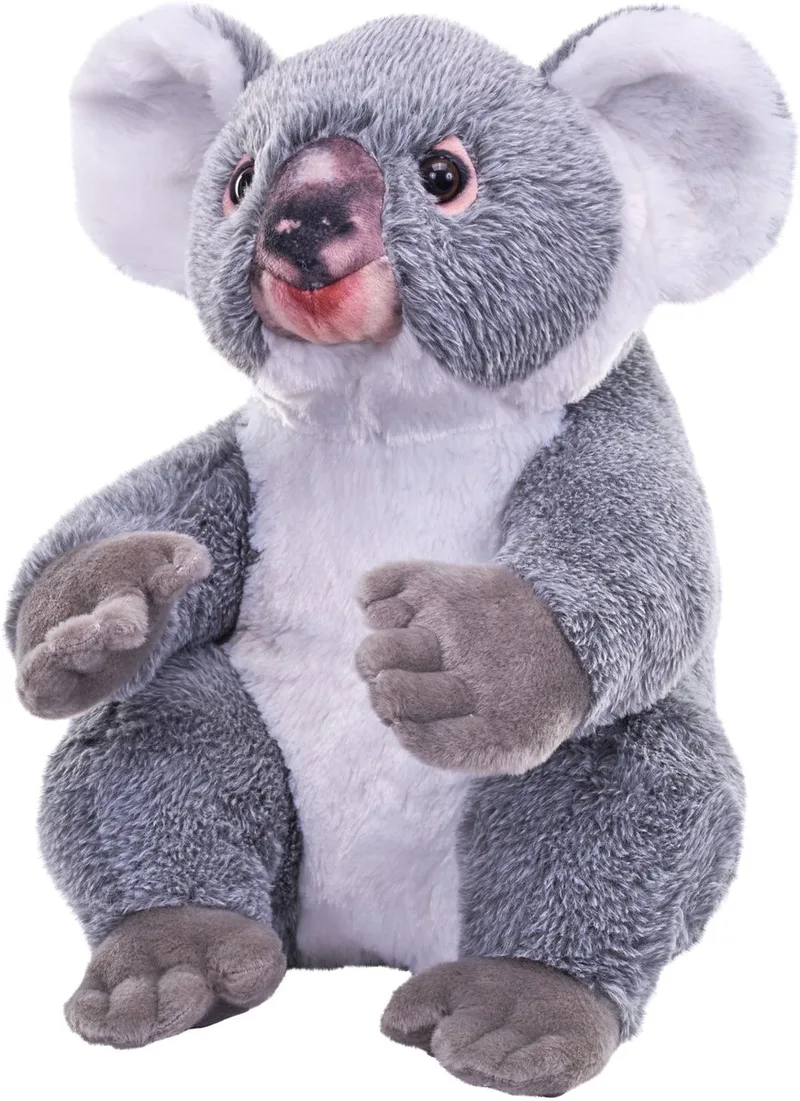 koala beer knuffel - 30 cm - Pluche - Australische dieren - knuffeldieren by Wild Republic in Grey – product photo