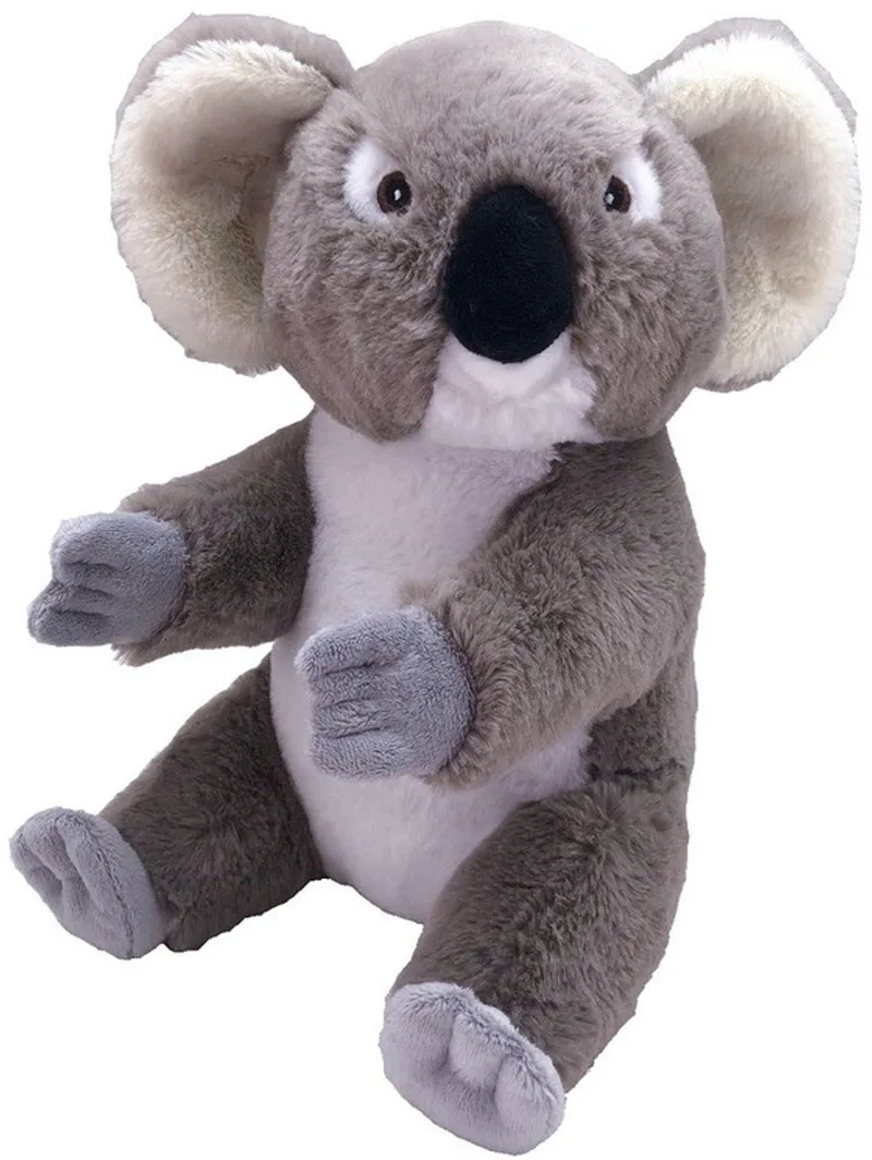 pluche koala beer knuffel - 30 cm - Australische dieren - Koala beren knuffeldieren - Speelgoed voor kinderen by Wild Republic in Grey – product photo