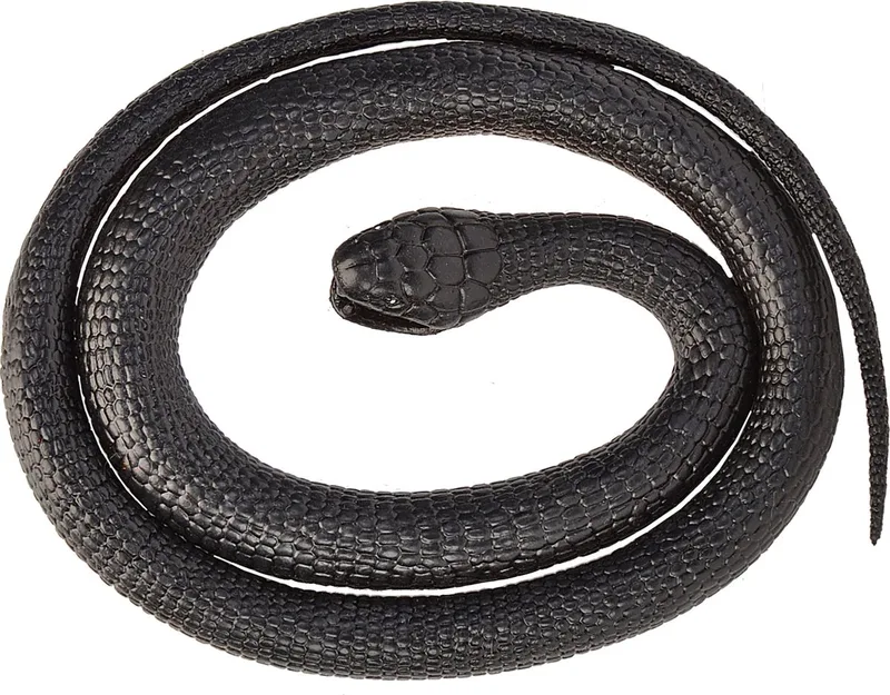 Slang Mamba Junior 117 Cm Rubber by Wild Republic in Black – product photo