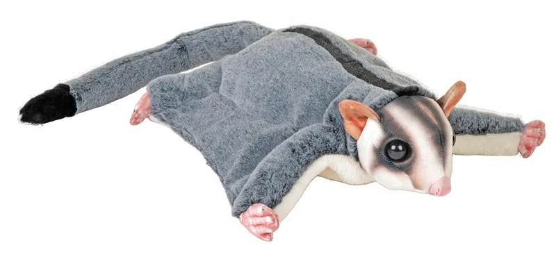 suikereekhoorn knuffel - pluche - 30 cm - nachtdieren - buideleekhoorn - eekhoorn by Wild Republic in Grey – product photo