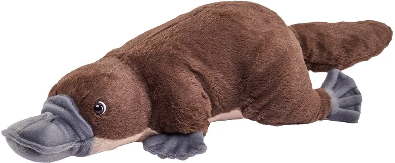 vogelbekdier knuffel - Pluche - 30 cm - knuffeldieren - vogelbekdieren by Wild Republic in Brown – product photo