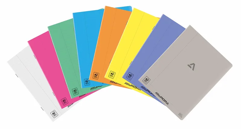Writing 80 schrift, geniet, gelijnd + marge, 72 blz, A5, transparant PP by Aurora – product photo