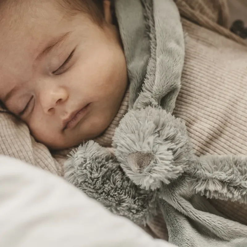 Konijn Richie Knuffeldoekje - Baby cadeau van Happy Horse in Groen – productfoto 2 van 2