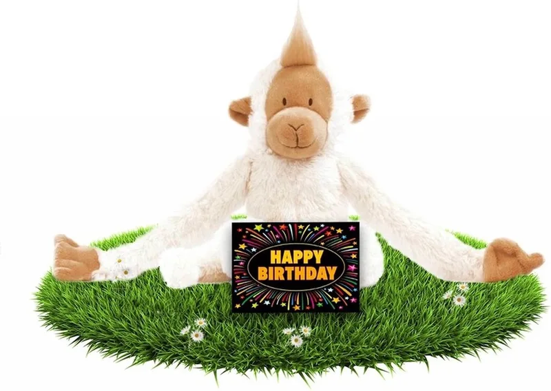 Verjaardag knuffel aapje 23 cm met gratis verjaardagskaart van Happy Horse in Wit – productfoto