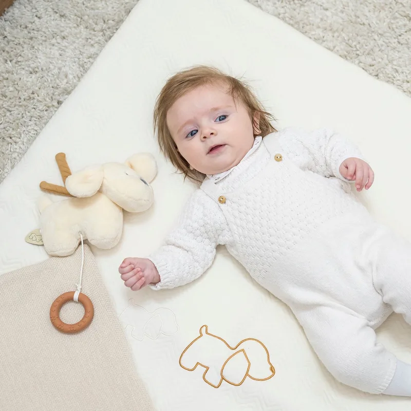 Hond Charlie - Muziek Knuffel - Karamel - 20 cm by Nattou in Hond Karamel – product photo