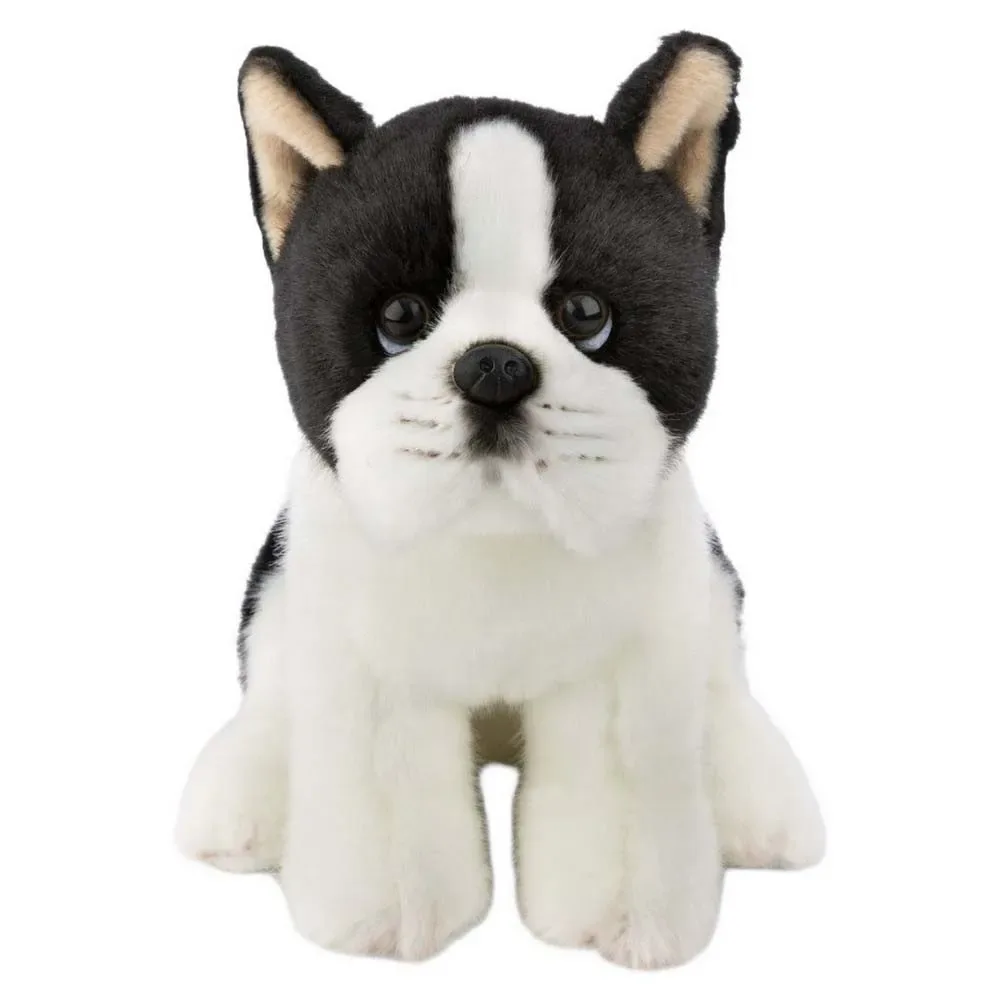 Hond Boston Terriër Teddy 20 Cm von NICI – Produktfoto