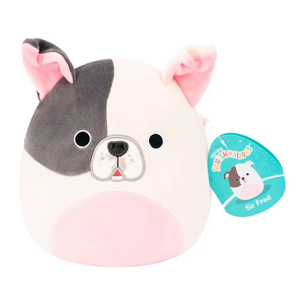 P27-sir Fred Pitbull 19 Cm Knuffelbeer van Squishmallows – productfoto